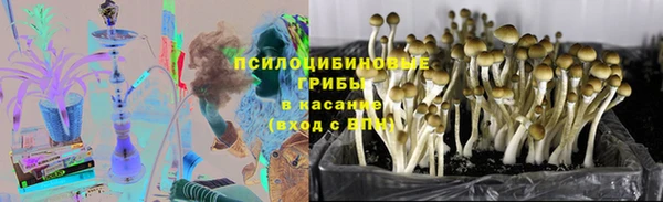 винт Алексеевка