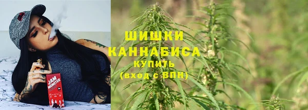 молекула духа Елизово