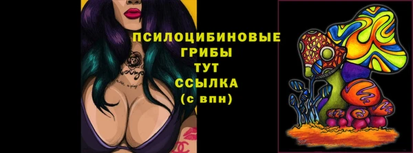 ALPHA PVP Алзамай