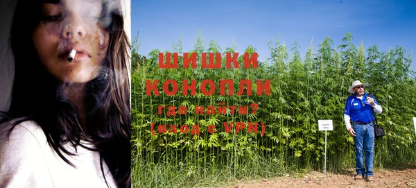 винт Алексеевка