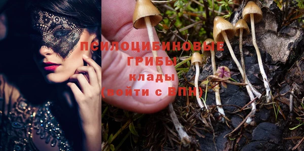 винт Алексеевка