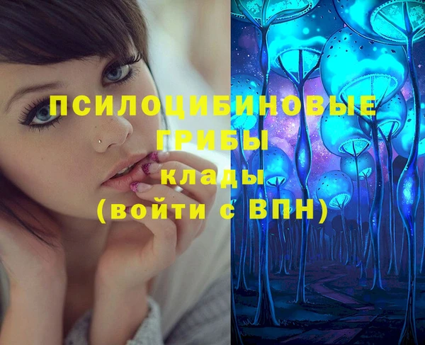 винт Алексеевка